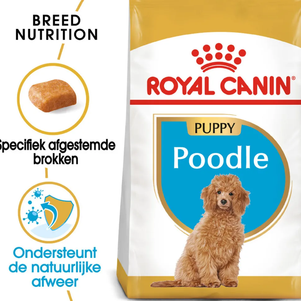 Royal Canin Poodle Puppy - Hondenvoer