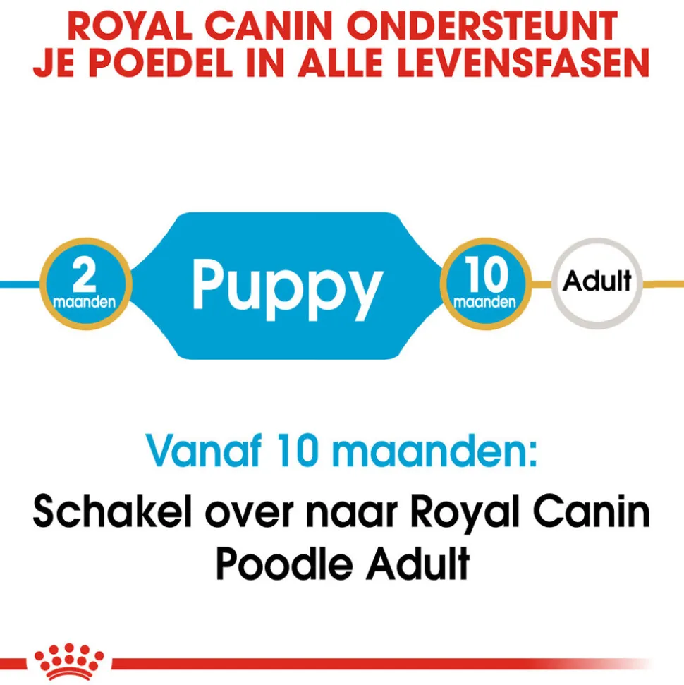 Royal Canin Poodle Puppy - Hondenvoer