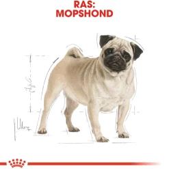 Royal Canin Pug Adult - Hondenvoer