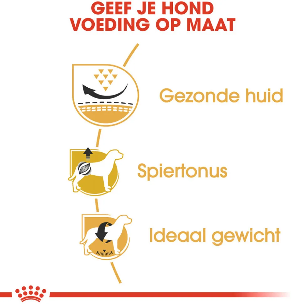 Royal Canin Pug Adult - Hondenvoer