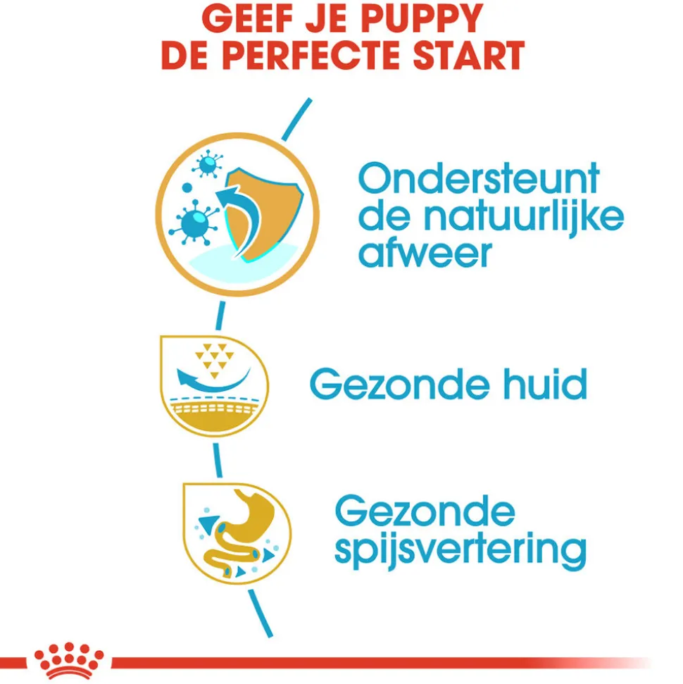 Royal Canin Pug Puppy - Hondenvoer