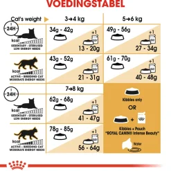 Royal Canin Ragdoll Adult - Kattenvoer