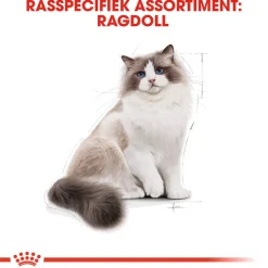 Royal Canin Ragdoll Adult - Kattenvoer