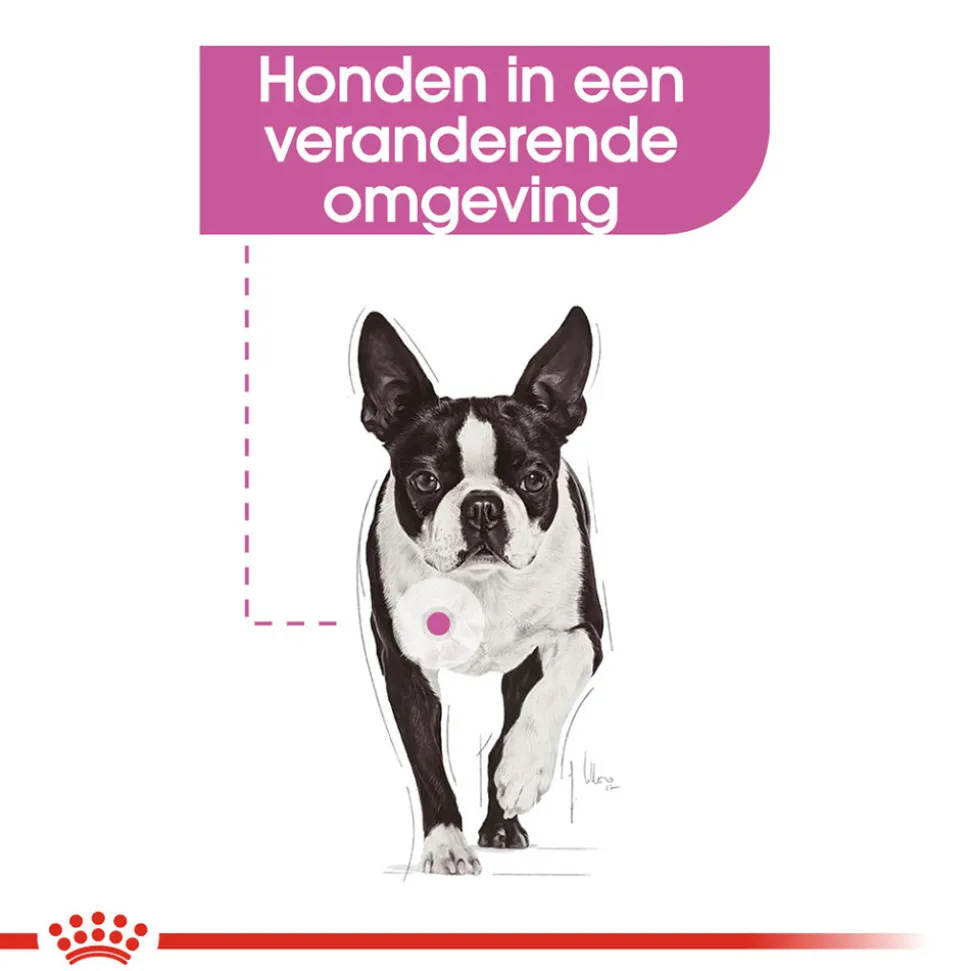 Royal Canin Relax Care Wet - Hondenvoer