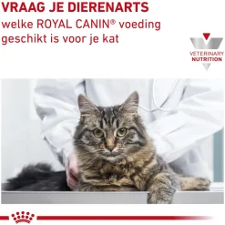 Royal Canin Renal Kat