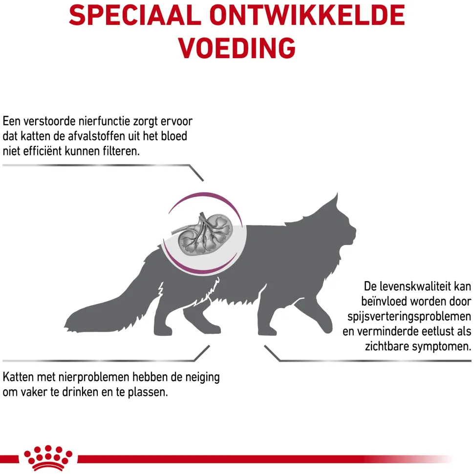Royal Canin Renal Kat