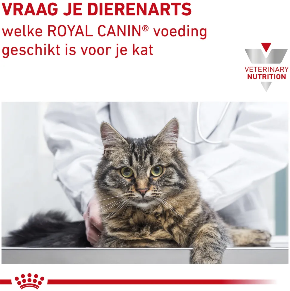 Royal Canin Renal Kat - Maaltijdzakje