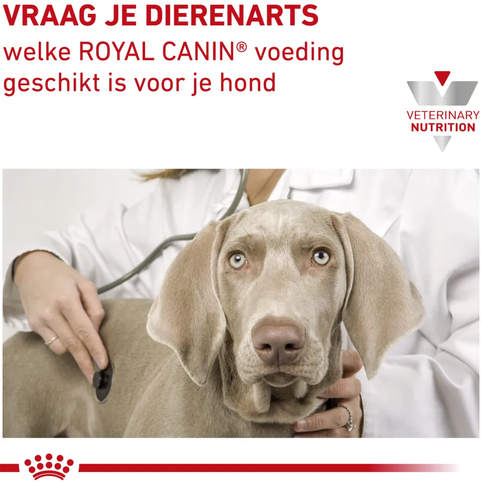 Royal Canin Renal Select Hond
