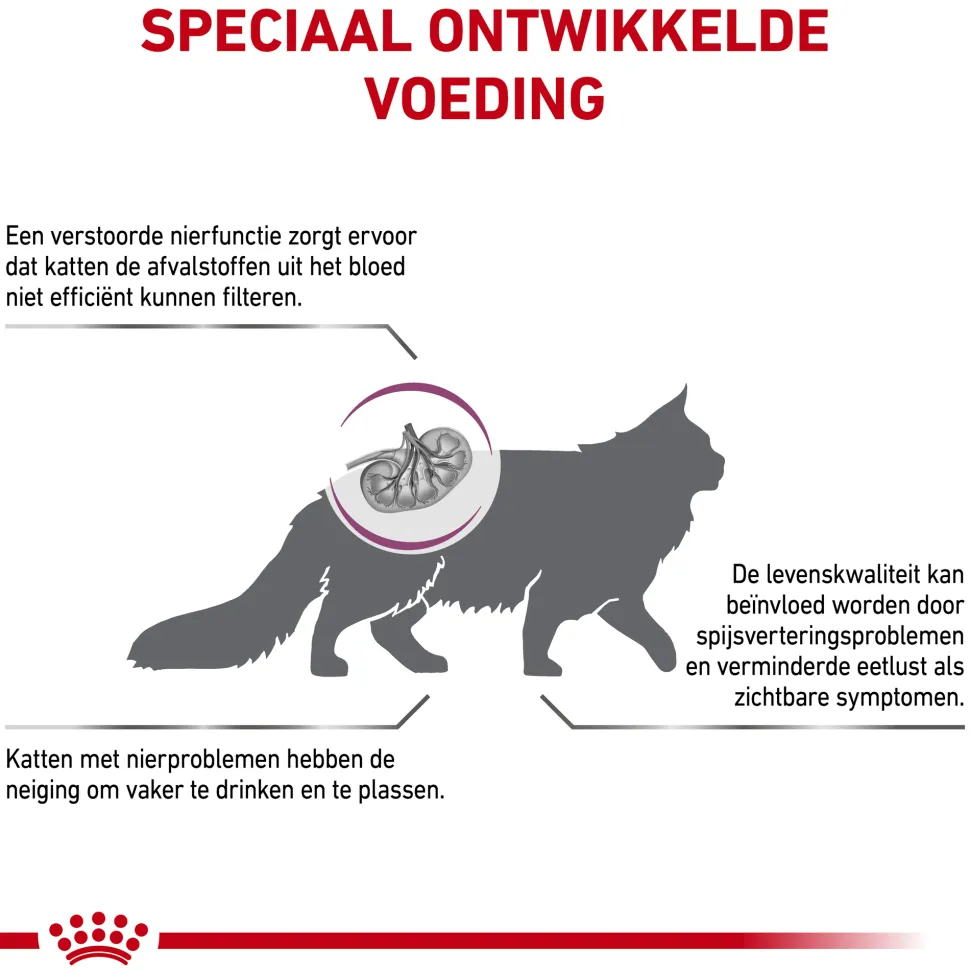 Royal Canin Renal Select Kat