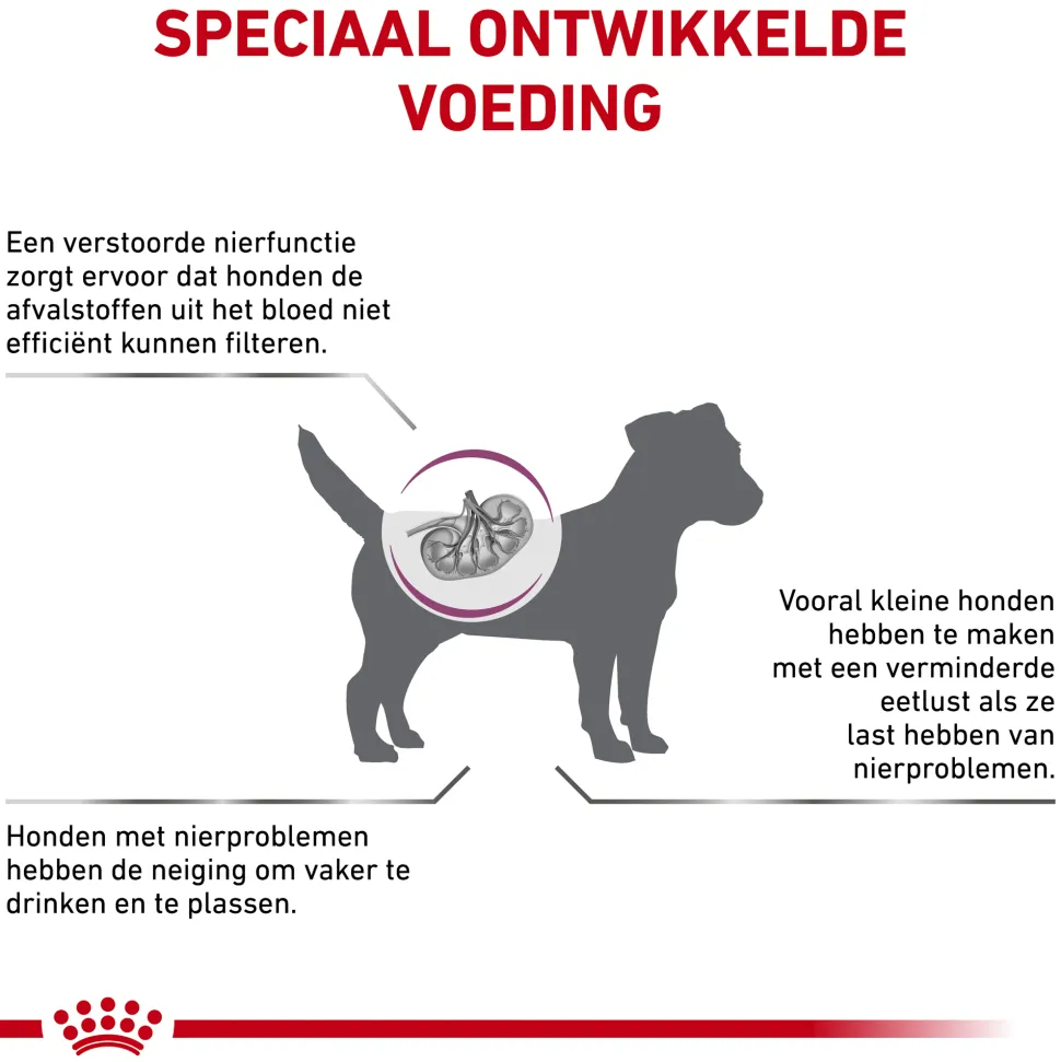 Royal Canin Renal Small Dog