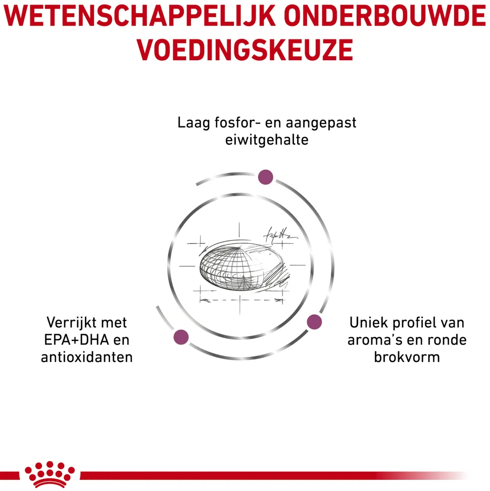 Royal Canin Renal Special Hond