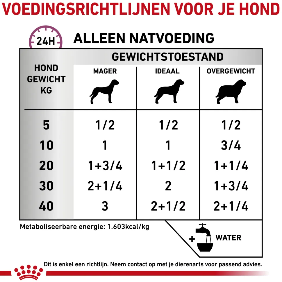 Royal Canin Renal Special Wet Hond