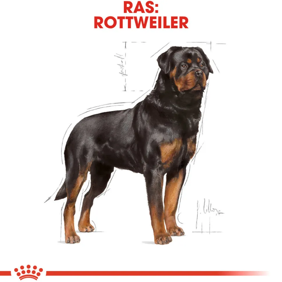 Royal Canin Rottweiler Adult - Hondenvoer