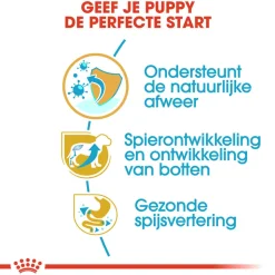 Royal Canin Rottweiler Puppy - Hondenvoer