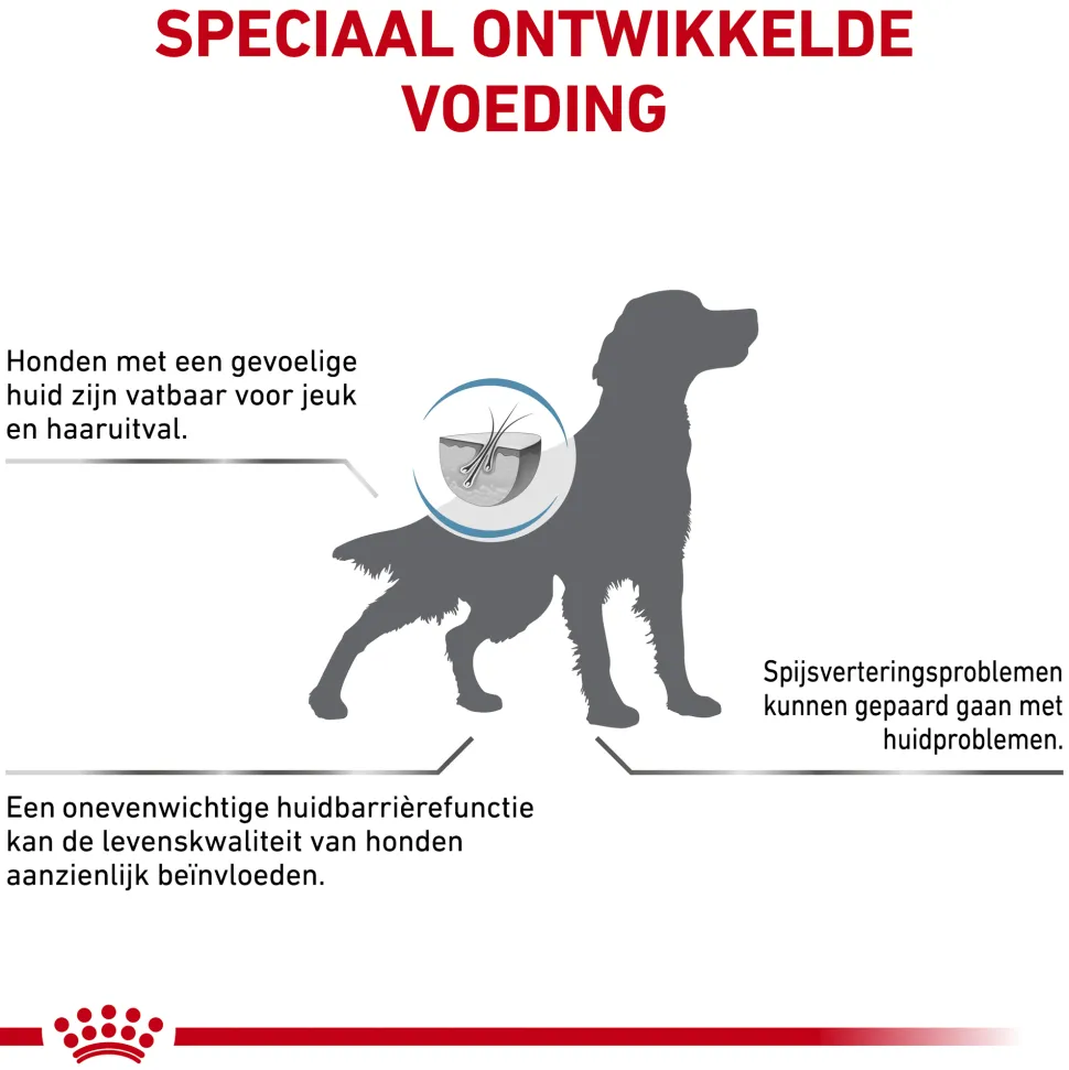 Royal Canin Skin Care Hond