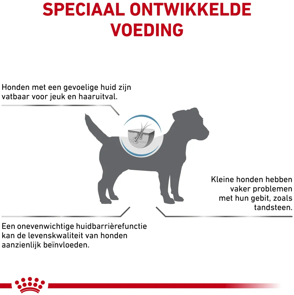 Royal Canin Skin Care Kleine Hond
