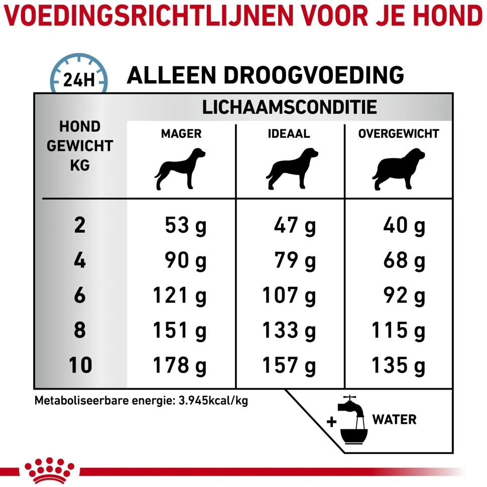 Royal Canin Skin Care Kleine Hond
