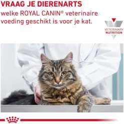 Royal Canin Skin & Coat