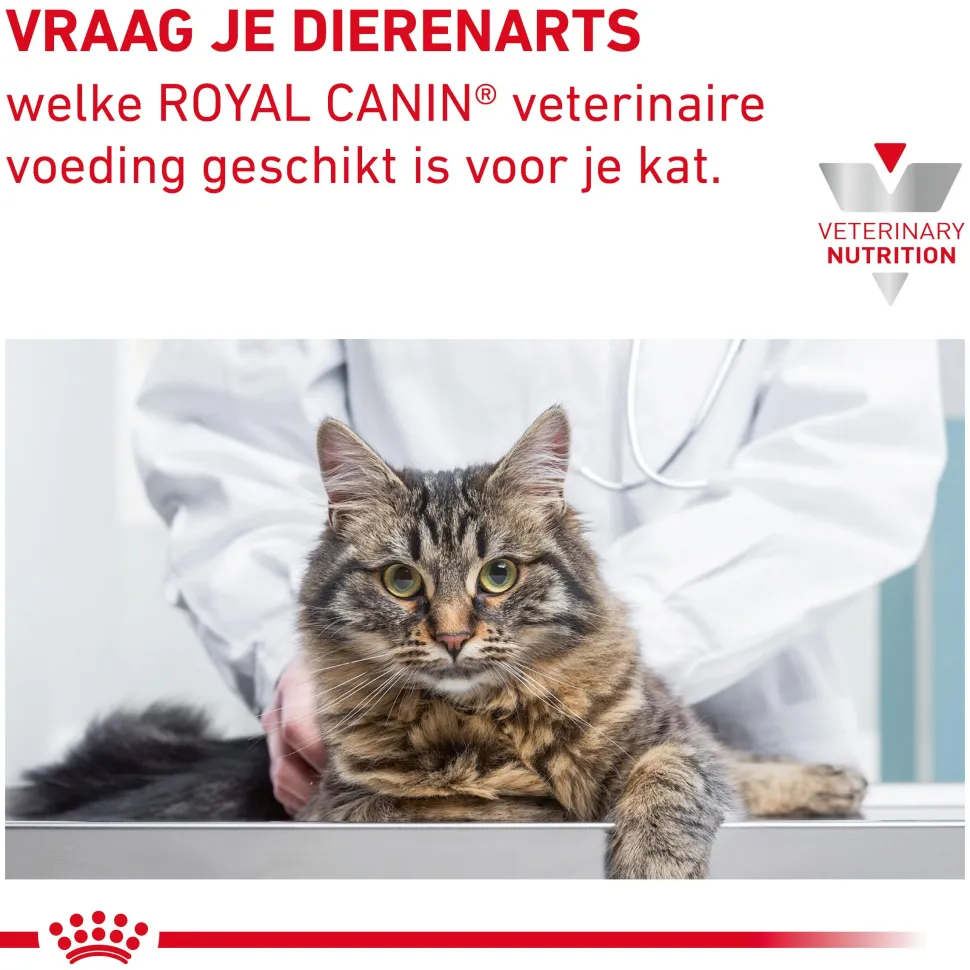 Royal Canin Skin & Coat
