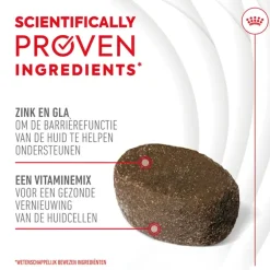 Royal Canin Skin & Coat Supplements Chews Hond