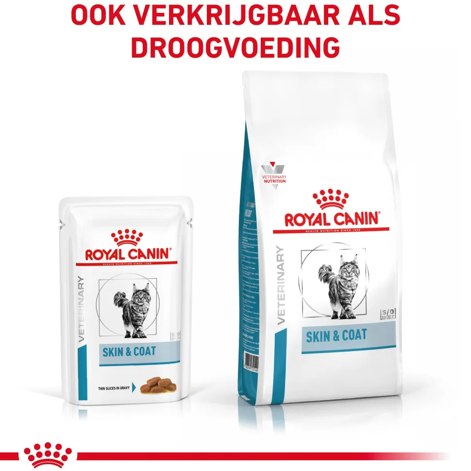 Royal Canin Skin & Coat Wet