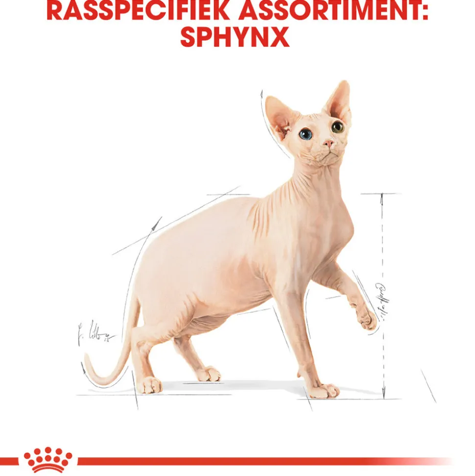 Royal Canin Sphynx Adult - Kattenvoer