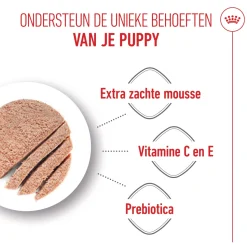 Royal Canin Starter Mousse Mother & Babydog - Hondenvoer