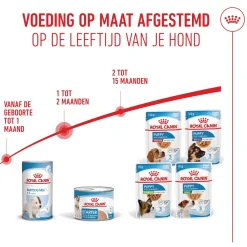 Royal Canin Starter Mousse Mother & Babydog - Hondenvoer