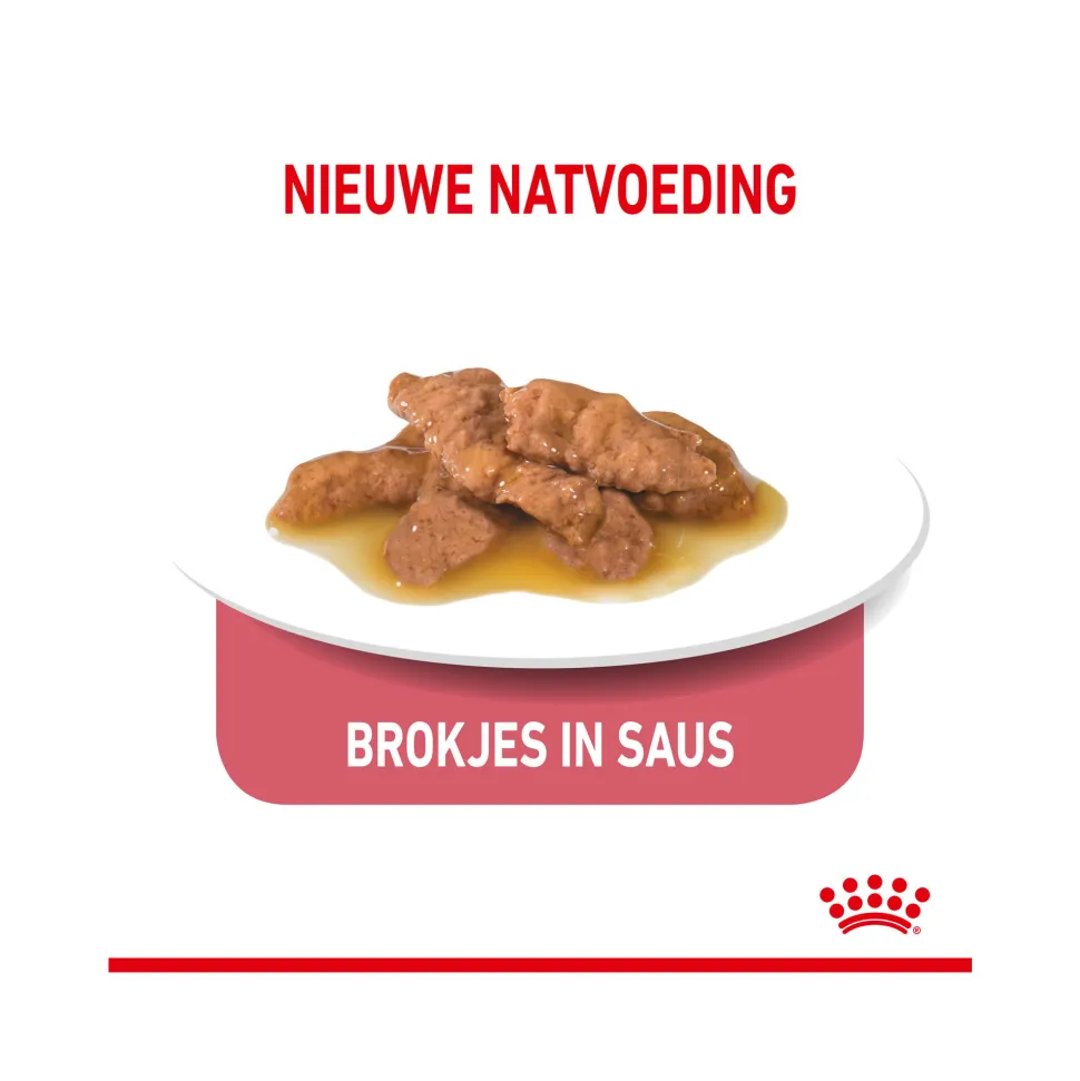 Royal Canin Sterilised Indoor 7+ in Gravy - Kattenvoer