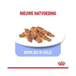 Royal Canin Sterilised Indoor in Jelly - Kattenvoer