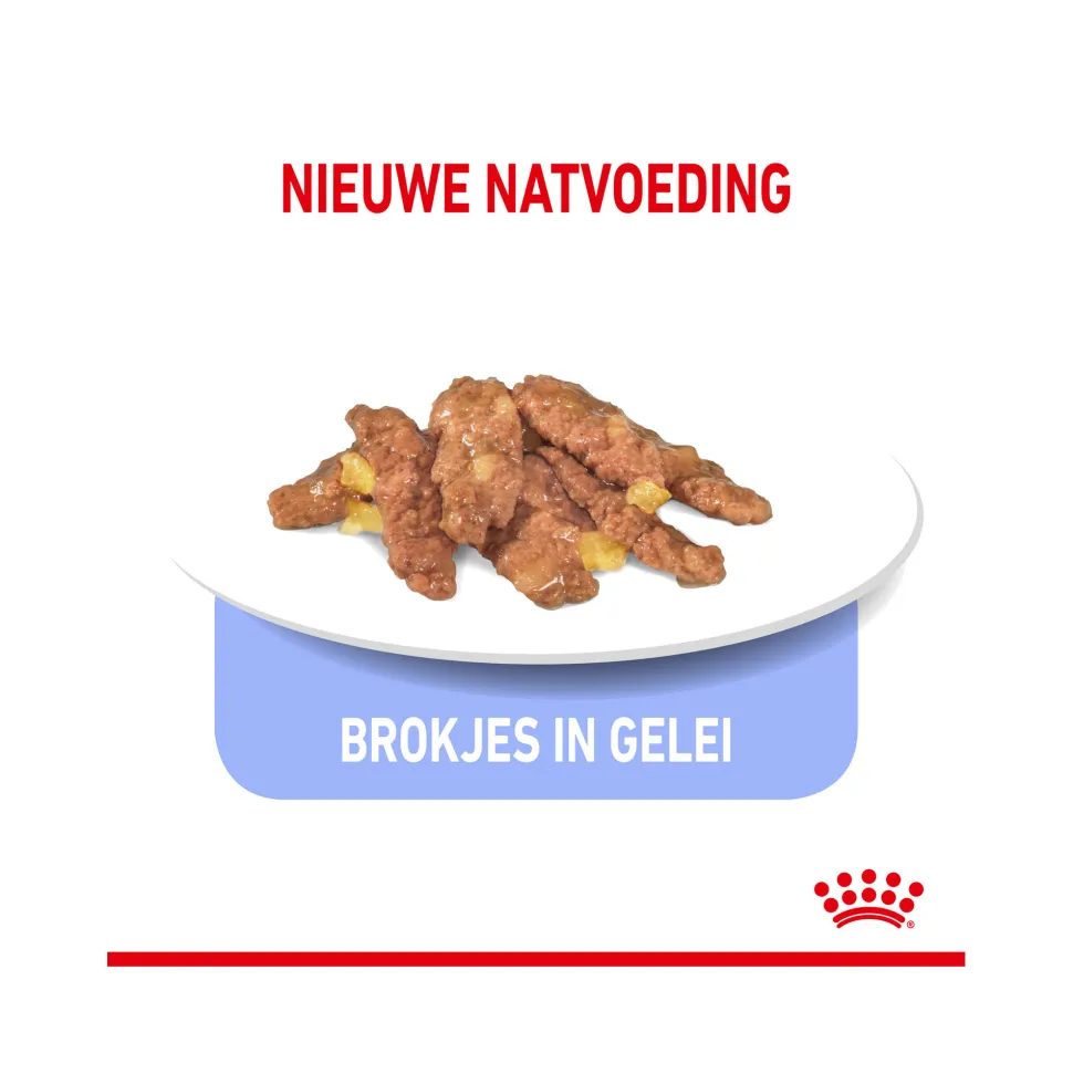 Royal Canin Sterilised Indoor in Jelly - Kattenvoer