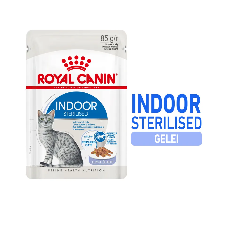 Royal Canin Sterilised Indoor in Jelly - Kattenvoer