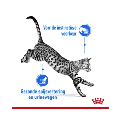 Royal Canin Sterilised Indoor in Gravy - Kattenvoer