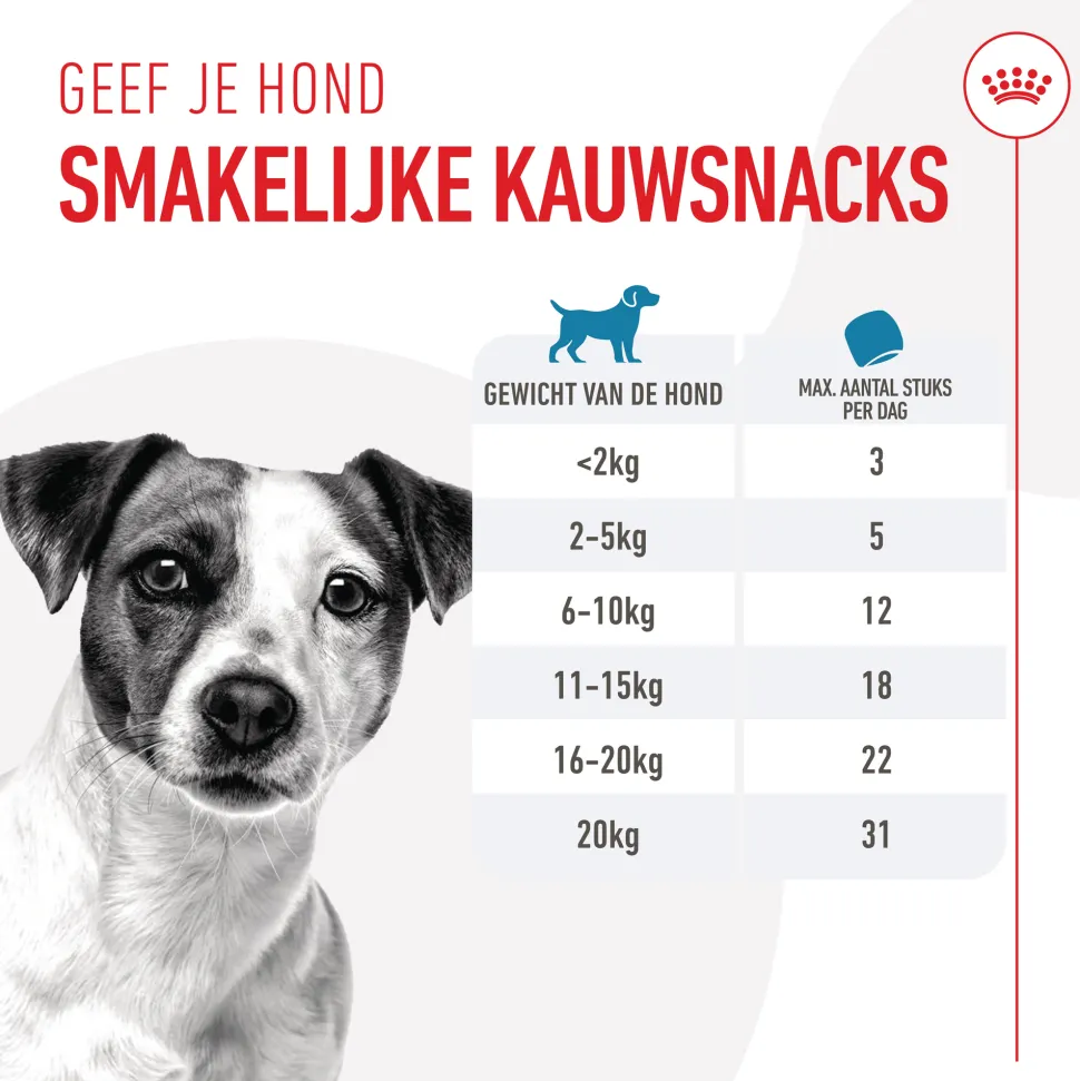 Royal Canin Training Treats