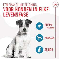 Royal Canin Training Treats