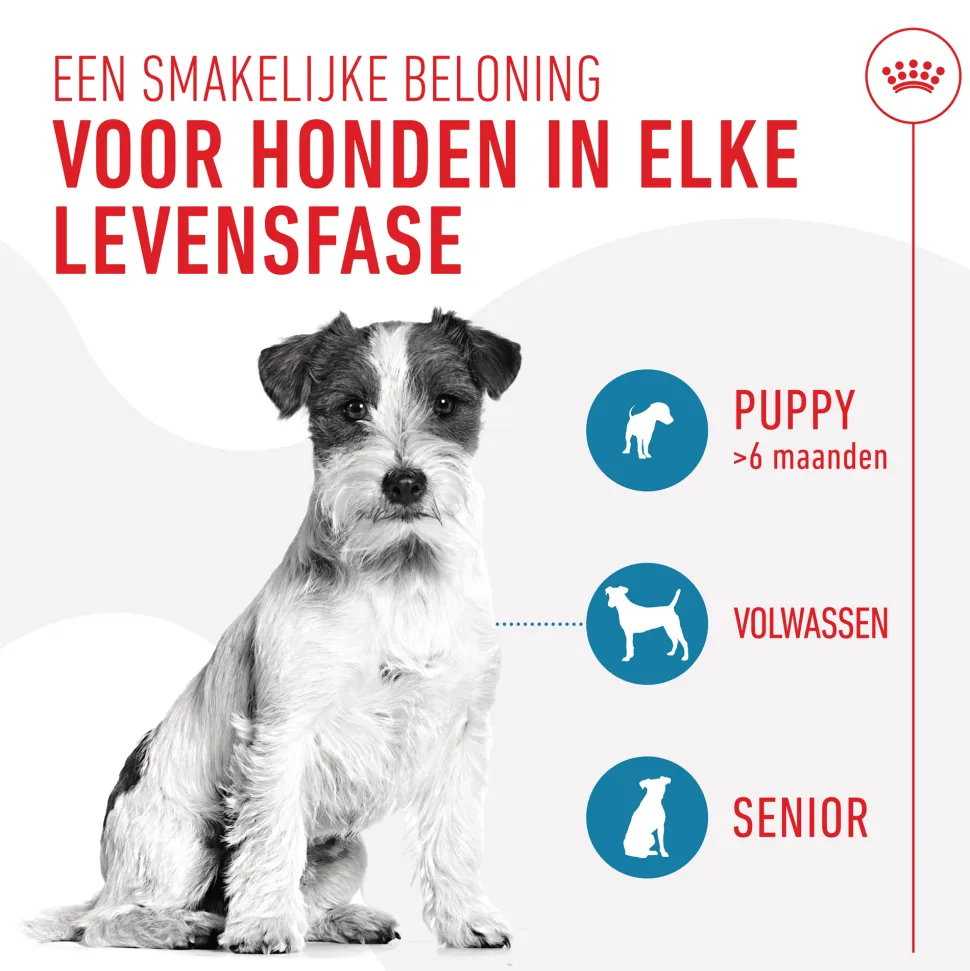 Royal Canin Training Treats