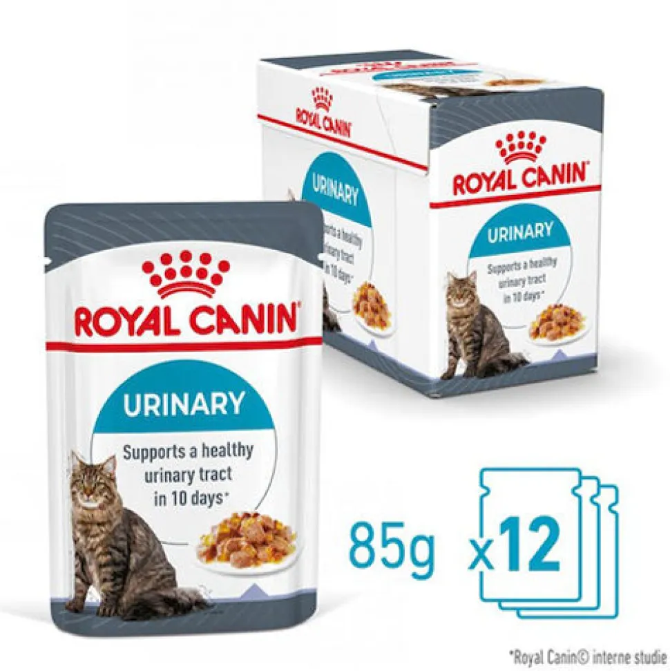 Royal Canin Urinary Care in Jelly - Kattenvoer