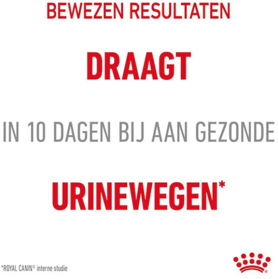 Royal Canin Urinary Care in Jelly - Kattenvoer