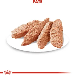 Royal Canin Urinary Care Wet - Hondenvoer