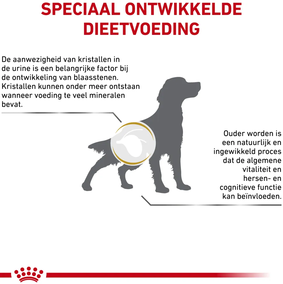 Royal Canin Urinary S/O Ageing 7+ Hond