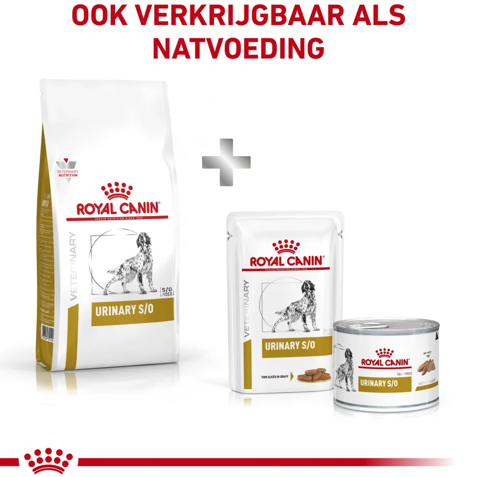 Royal Canin Urinary S/O Hond