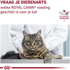 Royal Canin Urinary S/O Kat