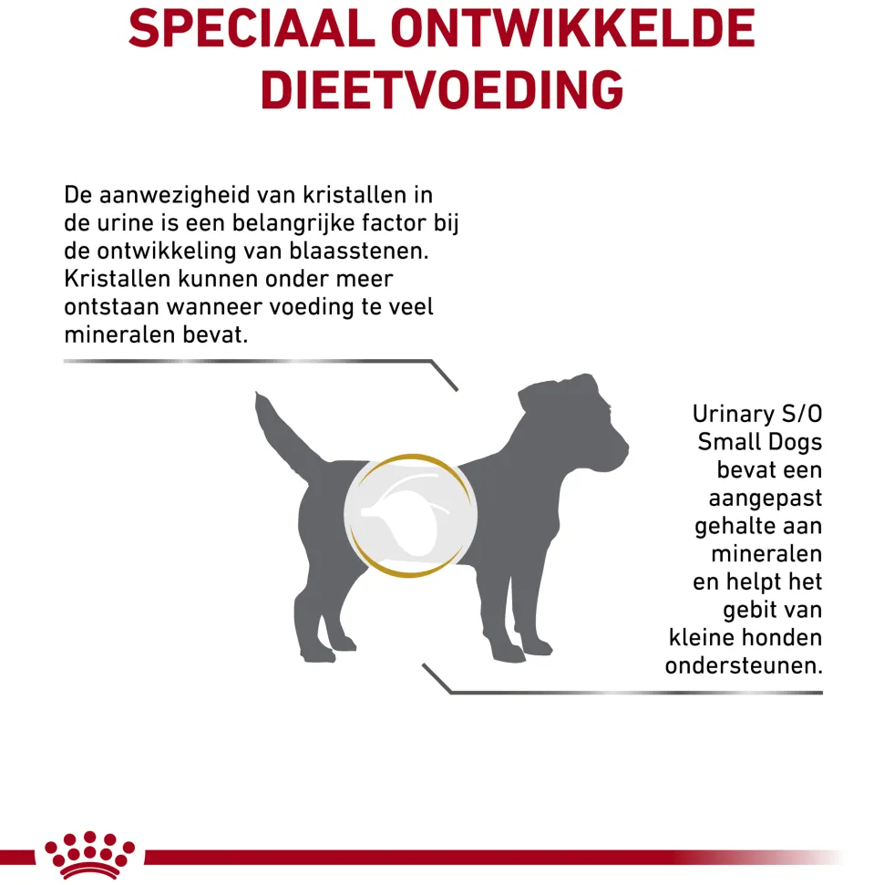 Royal Canin Urinary S/O Small Dog