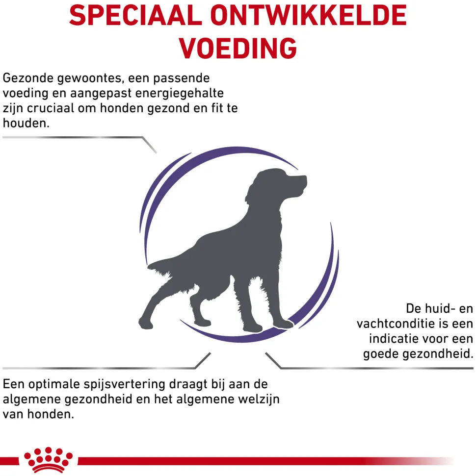 Royal Canin VCN - Adult Medium Dog