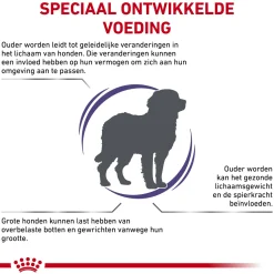 Royal Canin VCN - Mature Consult Large Dog