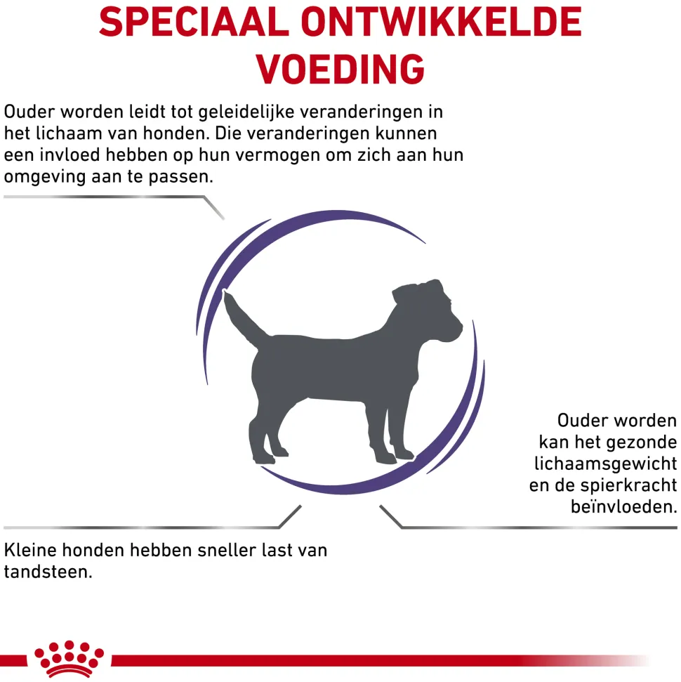Royal Canin VCN - Mature Consult Small Dog