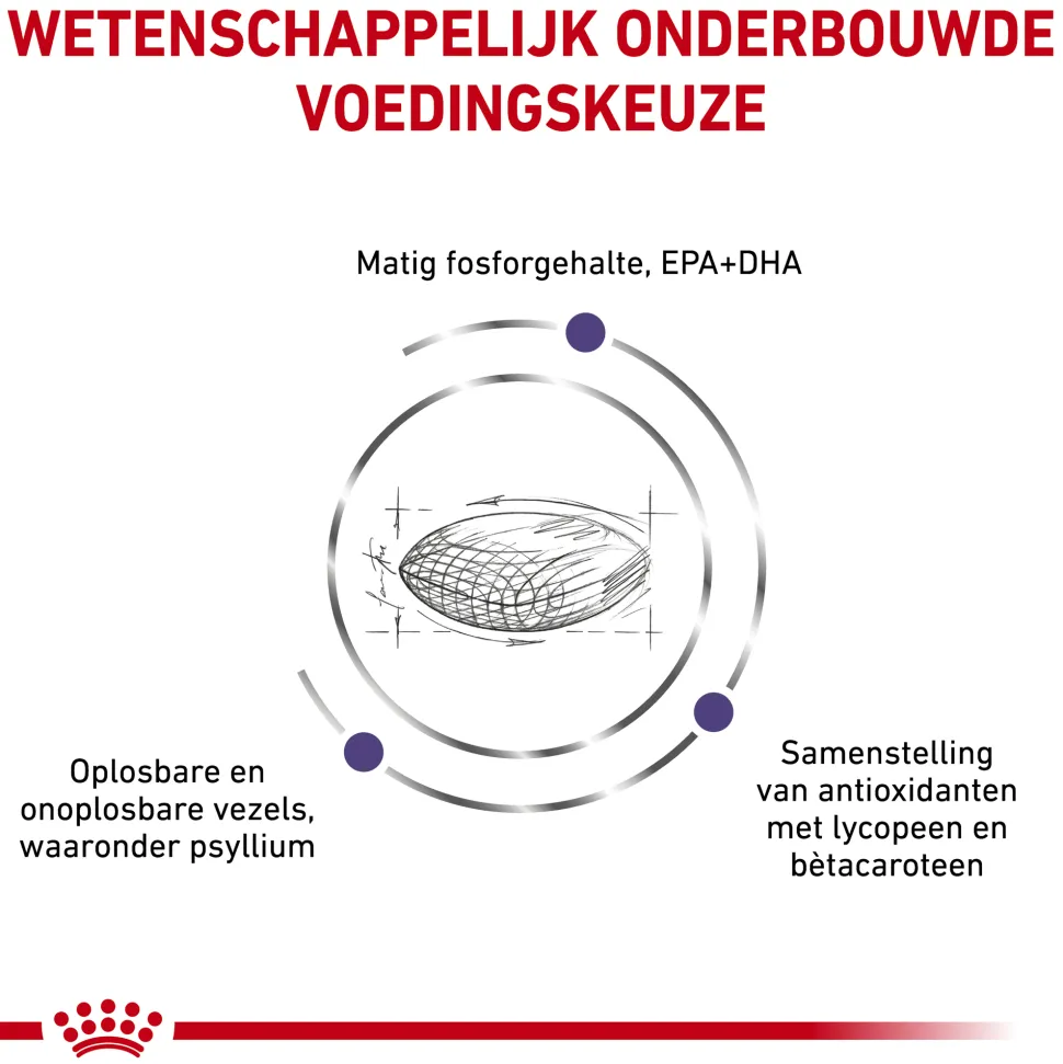 Royal Canin VCN - Mature Consult Balance - Cat