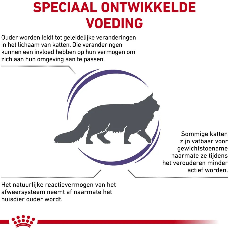 Royal Canin VCN - Mature Consult Balance - Cat