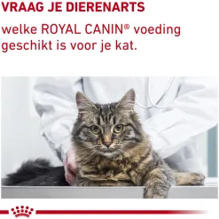 Royal Canin VCN - Mature Consult Balance - Cat - Maaltijdzakje