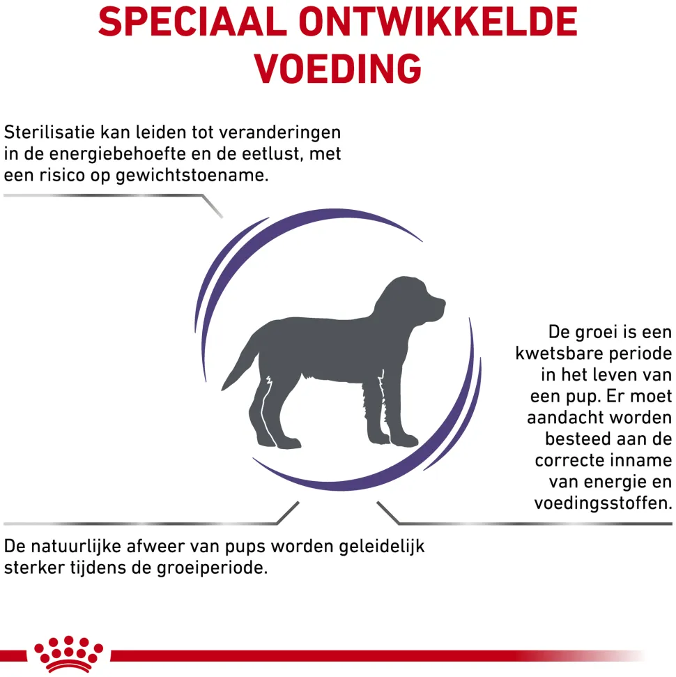 Royal Canin VCN - Neutered Junior Medium Dog